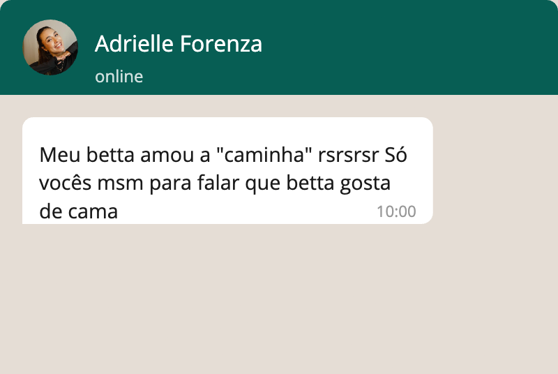 Mensagem de Adrielle contando que seu peixe betta gostou da caminha encontrada